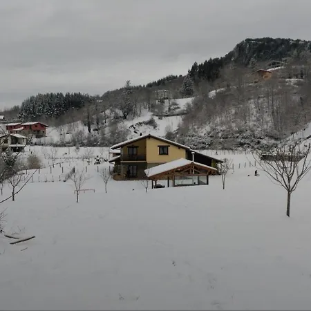 Con Piscina Climatizada En La Naturaleza *